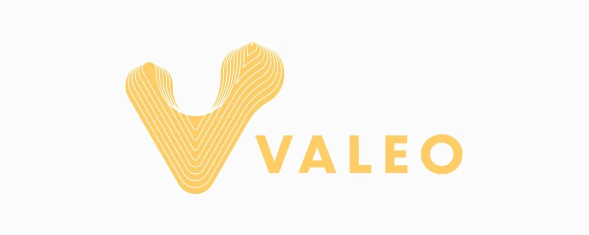 شركة الرعاية الصحية Valeo Health تجمع جولة تمويل