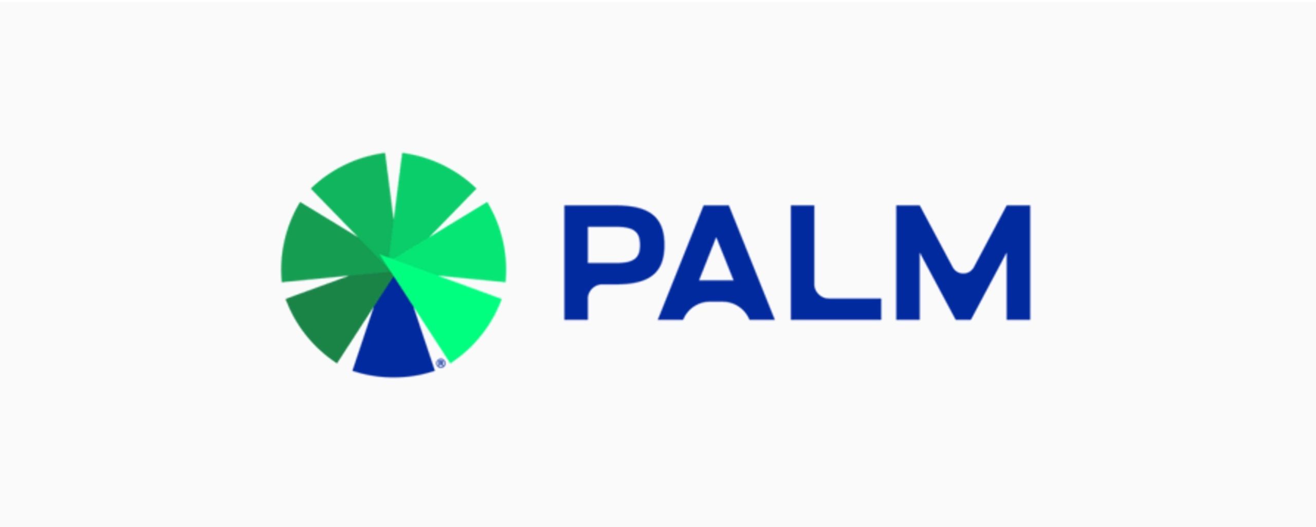 منصة الادخار PALM تغلق جولة تمويل